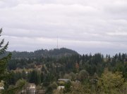 11.13.05 Arboretum-Pittock Mansion-Macleay Park 015 